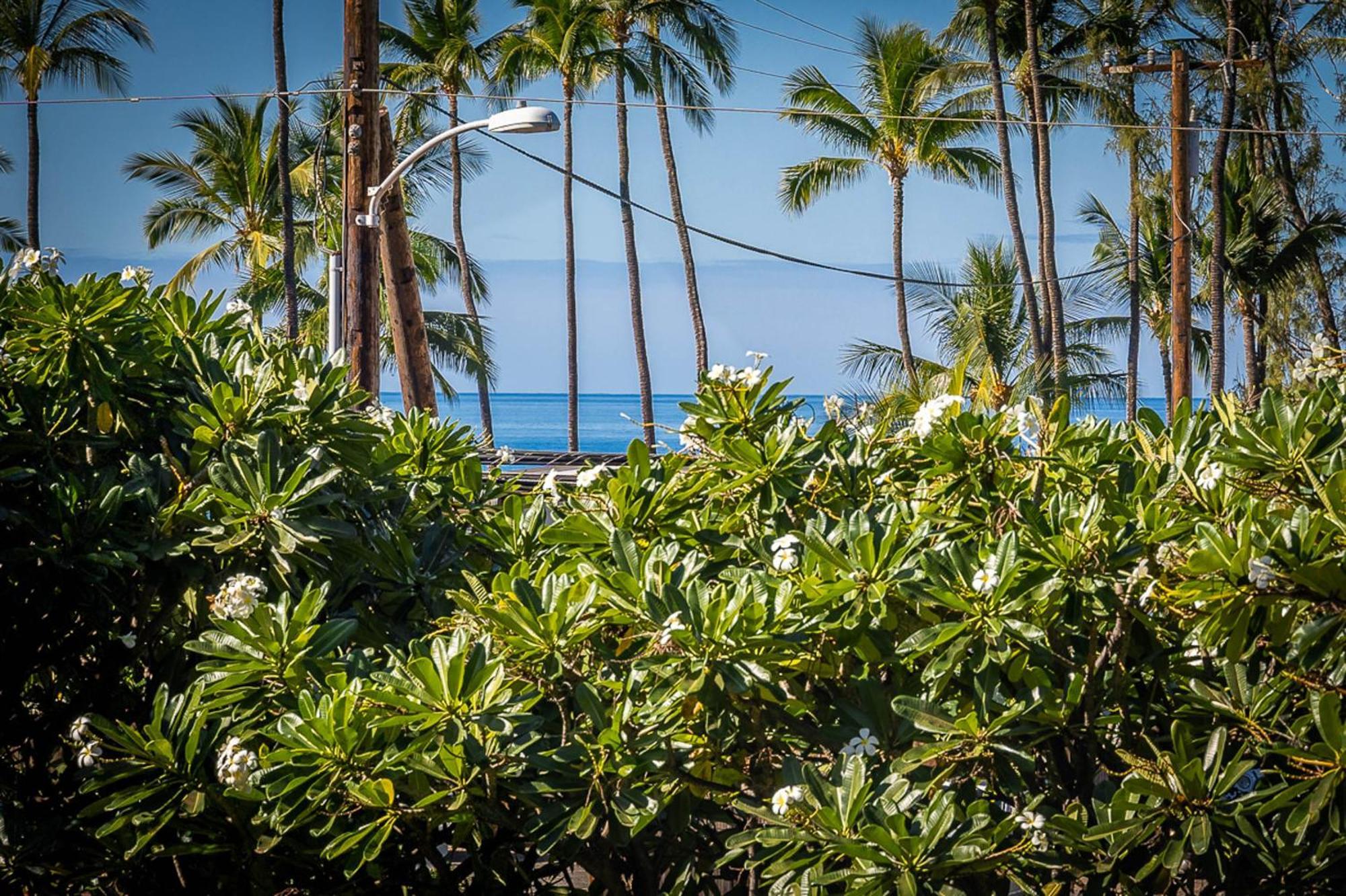 Maui Vista 1210 Apartman Kihei Kültér fotó